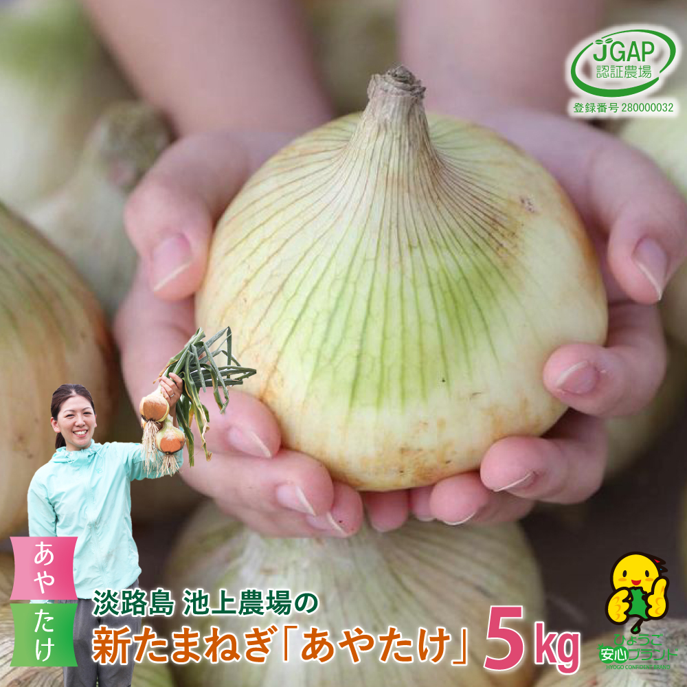 【新玉ねぎ】淡路島 池上農場のあやたけ 5kg【発送時期2026年3月下旬～5月頃】 玉ねぎ