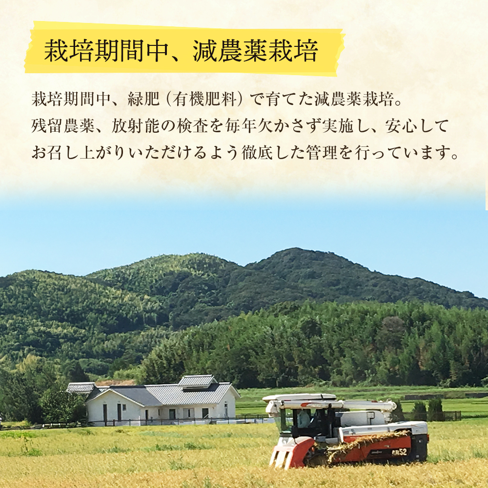 【定期便】野添農園のコシヒカリ 5kgｘ12ヶ月 コシヒカリ