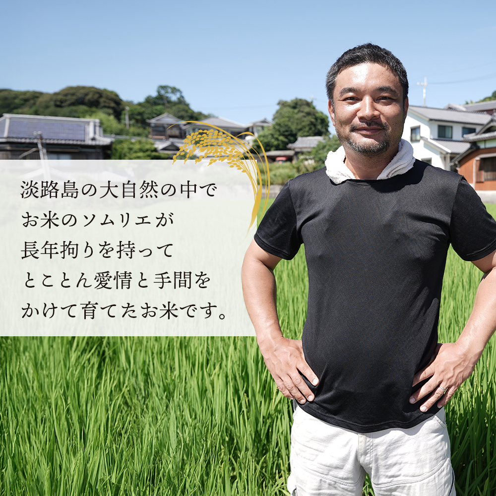 【定期便】野添農園のコシヒカリ 5kgｘ12ヶ月 コシヒカリ