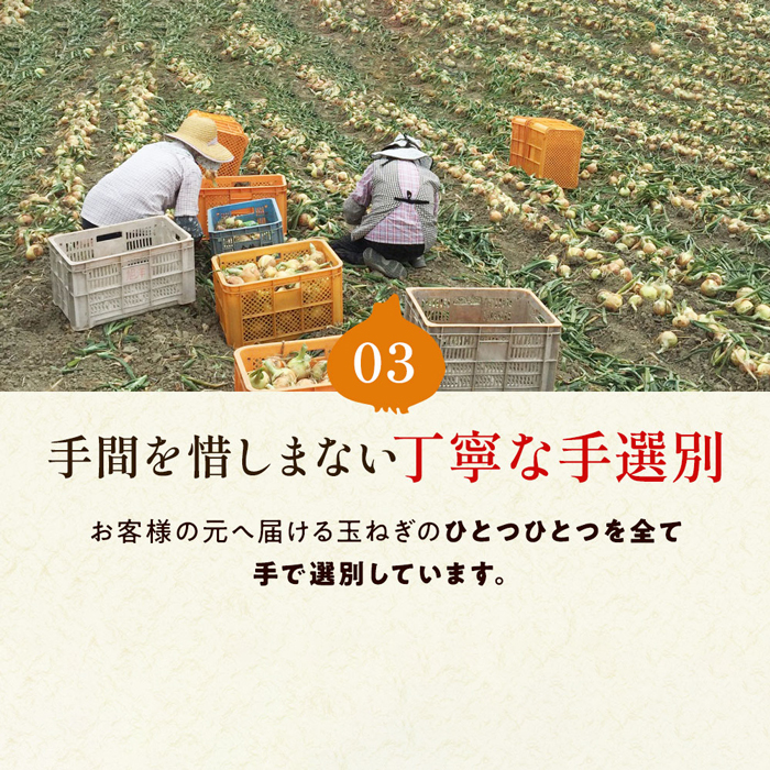 【新玉ねぎ】今井ファームの淡路島たまねぎ「かくし玉」 2kg【発送時期2026年4月下旬～5月頃】