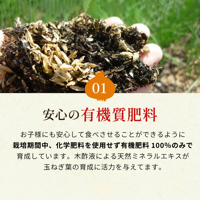【新玉ねぎ】今井ファームの淡路島たまねぎ「かくし玉」 5kg【発送時期2026年4月下旬～5月頃】