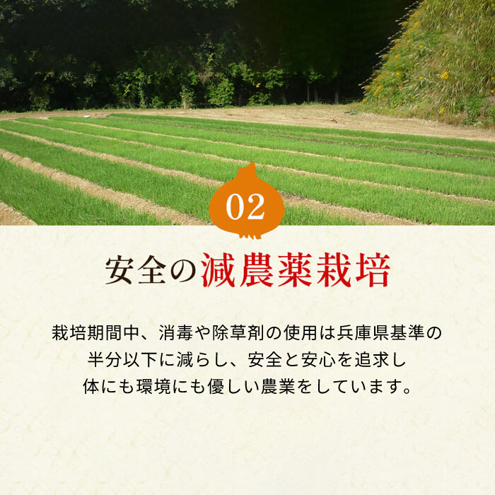 【新玉ねぎ】今井ファームの淡路島たまねぎ「かくし玉」 5kg【発送時期2026年4月下旬～5月頃】