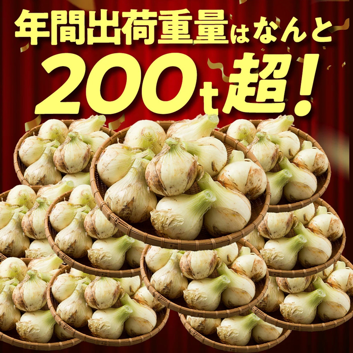 【新玉ねぎ】今井ファームの淡路島たまねぎ「かくし玉」 5kg【発送時期2026年4月下旬～5月頃】