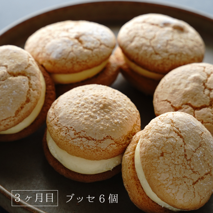 【定期便3ヶ月】弁天堂 スイーツ定期便（クッキーシュークリーム・エクレア・ブッセ）
