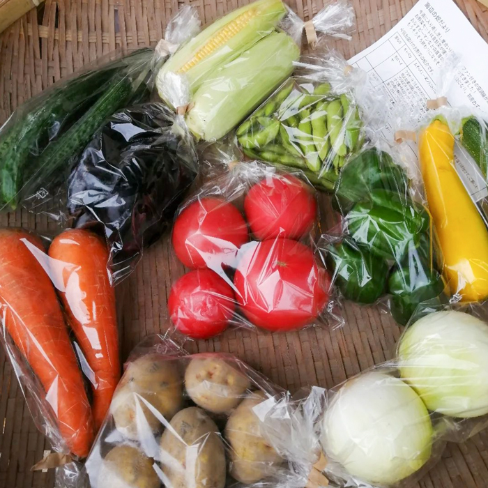 【定期便】ご家庭向けお野菜セット～旬のおまかせBOX～春夏秋冬4回分