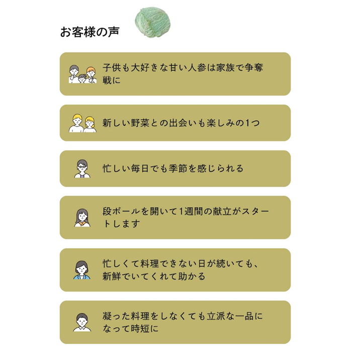 【定期便】ご家庭向けお野菜セット～旬のおまかせBOX～春夏秋冬4回分