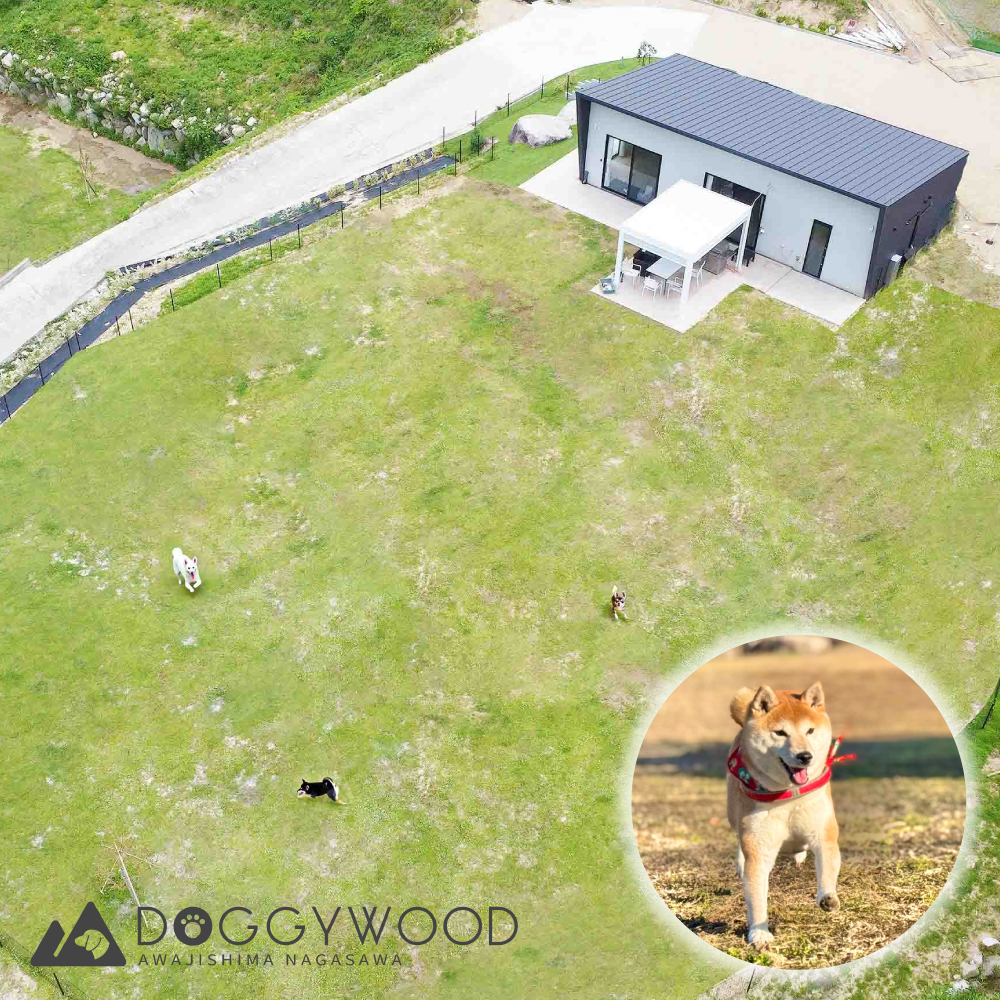 淡路島で愛犬と泊まれる宿＜DOGGYWOOD＞で使える宿泊ご優待券30,000円分