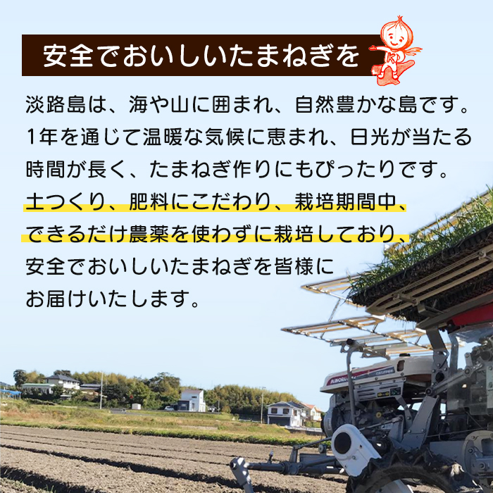 【新玉ねぎ】淡路島玉ねぎ 大きな2Lサイズ10kg【発送時期：2026年3月下旬～6月頃】