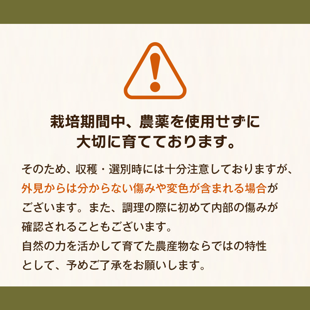 淡路島玉葱 5kg 【栽培期間中、無農薬栽培】サイズ混合SS～2L 玉ねぎ