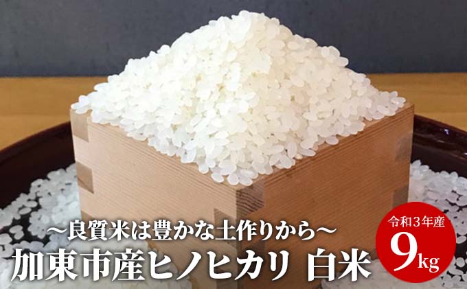 米 令和6年産 加東市産 ヒノヒカリ 白米 先行予約 9kg [お米 コメ ]