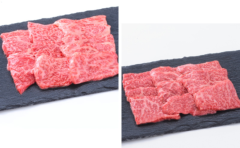 【神戸牛】部位食べ比べセット　計約1.2kg　しゃぶしゃぶ・ステーキ・焼肉・煮込み〔 やきにく BBQ 牛肉 国産牛 和牛 お肉 肉 霜降り おすすめ 高級 グルメ お祝い 冷凍 〕