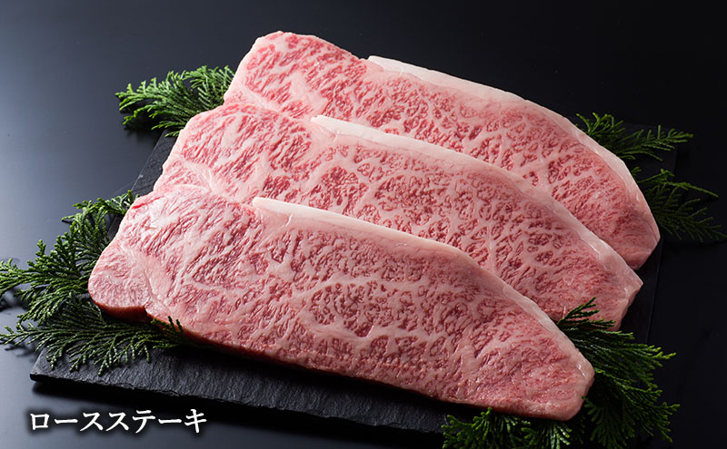 【神戸牛】神戸ビーフステーキ食べ比べセット 600g (ロース モモ）〔牛肉 国産牛 ブランド和牛 和牛 お肉 肉 霜降り ステーキ 高級 お祝い ギフト 贈答品〕