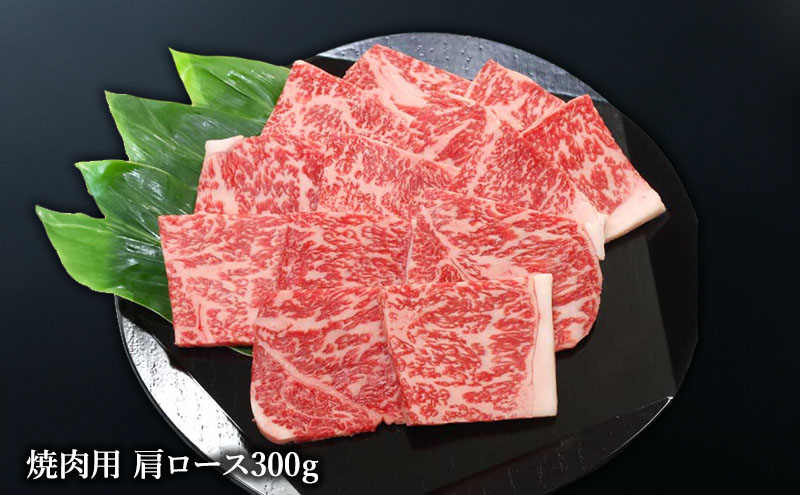 【神戸牛】 神戸ビーフ焼肉食べ比べセット900g〔牛肉 国産牛 ブランド和牛 和牛 お肉 肉 霜降り ロース モモ バラ 焼肉 高級 お祝い ギフト 贈答品〕 