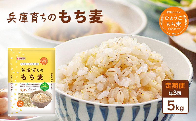 【定期便3回発送】兵庫育ちのもち麦5kg　[食物繊維 もちむぎ キラリモチ 国産 健康 加東市]