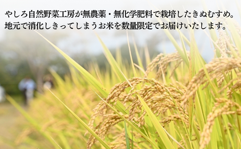 有機JAS 米 令和6年産 有機栽培 きぬむすめ 玄米 10kg(5kg×2)[ お米 オコメ 無農薬 無化学肥料 有機 JAS有機農業 農産物 ]