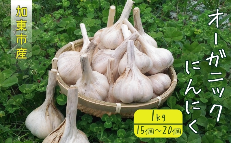 加東市産 オーガニック にんにく 1kg（15～20個）[ ニンニク 野菜 薬味 自家栽培 長期保存 常温保存 料理 ]