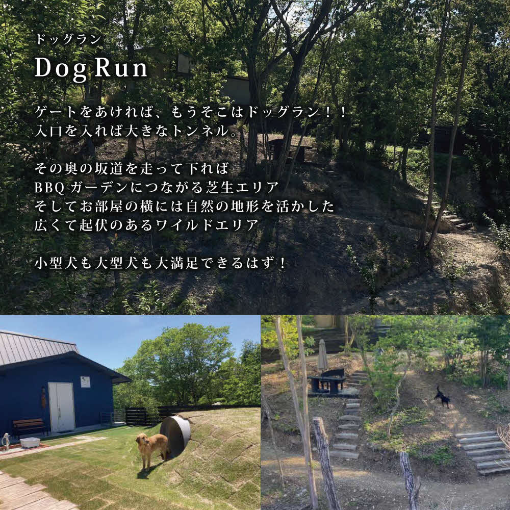 東条湖テラス ピノワリス 宿泊クーポン券 1万円分 愛犬と過ごせる一軒家　宿泊 旅行 クーポン ドッグラン 愛犬 犬 東条湖 加東市