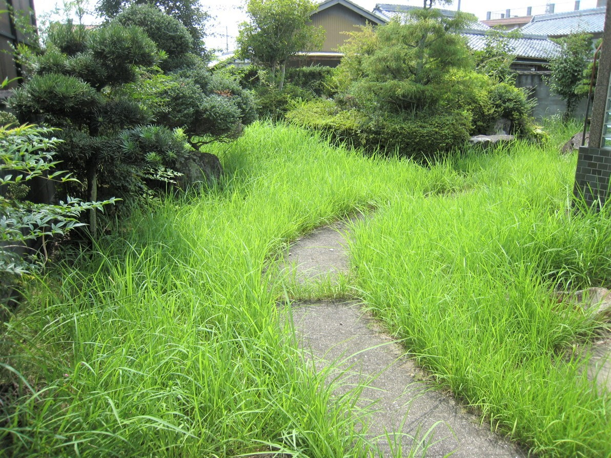 便利屋PAL 利用券 6,000円分[ 草刈り 木伐採 空き家管理 お墓清掃 引越し手伝い ] チケット サービス 代行 代行サービス 家事代行サービス 