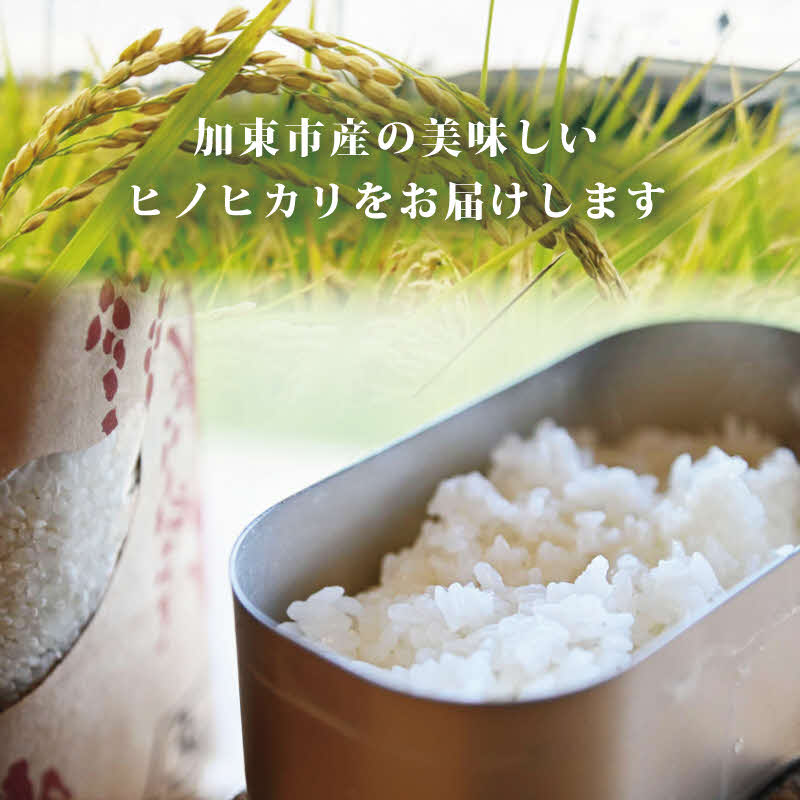 お米 令和7年産 ヒノヒカリ 白米5kg [ こめ 米 コメ 扇ファーム 加東市産 兵庫県加東市 加東市]