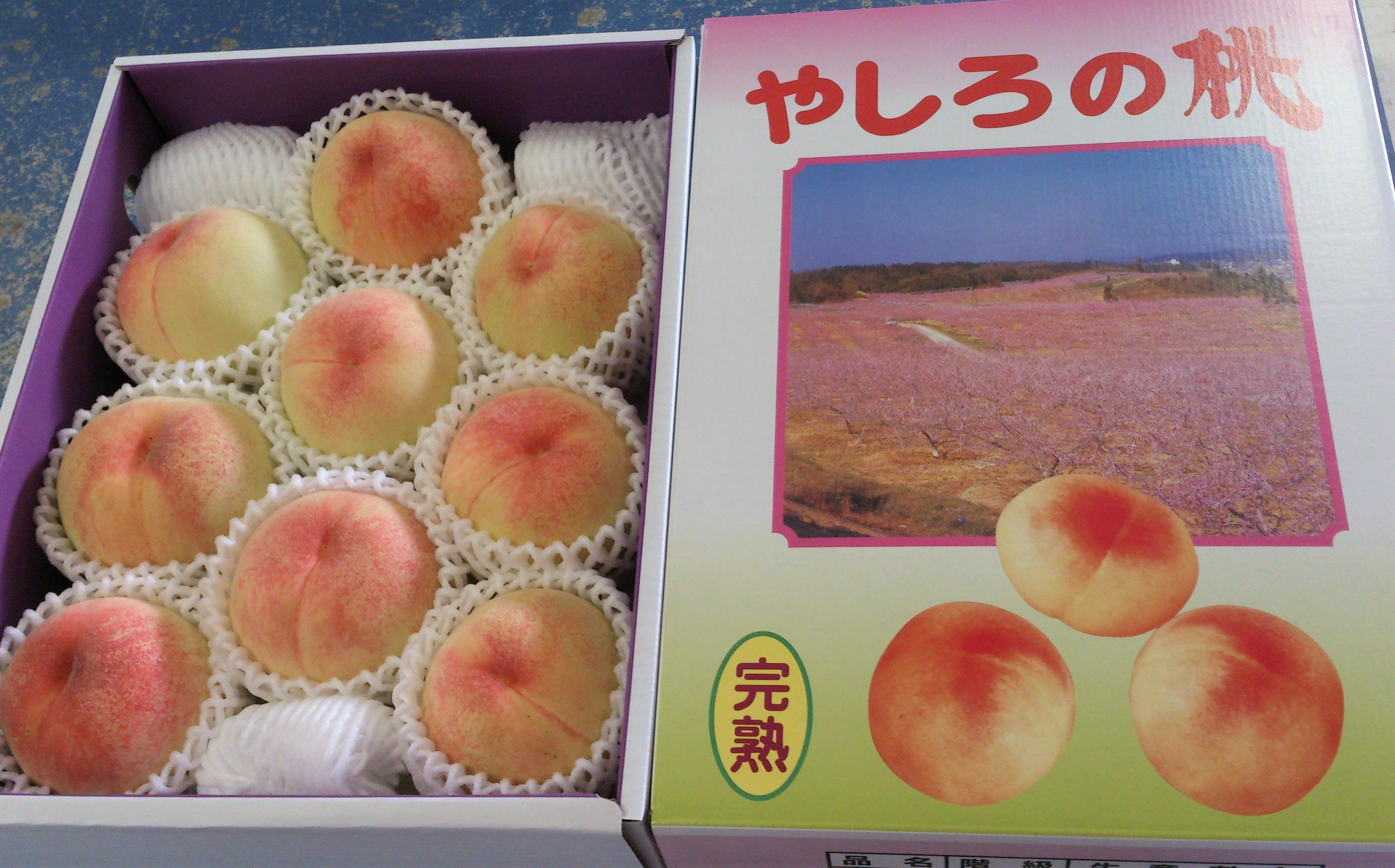 2026年産 先行予約 桃 加東市産 古跡農園の『 やしろの桃 』1.5kg（5〜6玉）[ もも モモ 果物 フルーツ ]