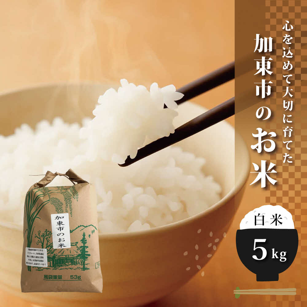 栽培期間中化学農薬・化学肥料不使用のお米 5kg [米 こめ コメ 精米  ライス ご飯 おにぎり お弁当 和食 主食 国産 炭水化物 直送 産地直送 兵庫県産 日本産 ]