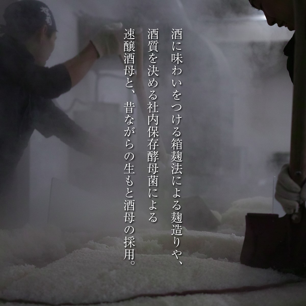 松の司 純米大吟醸 黒 720ml 松瀬酒造 加東市産山田錦使用 化粧箱入[ フロンティア東条 日本酒 お酒 酒 四合瓶 贈答品  ] 晩酌 家飲み 華やかな吟醸香 繊細な味わい 