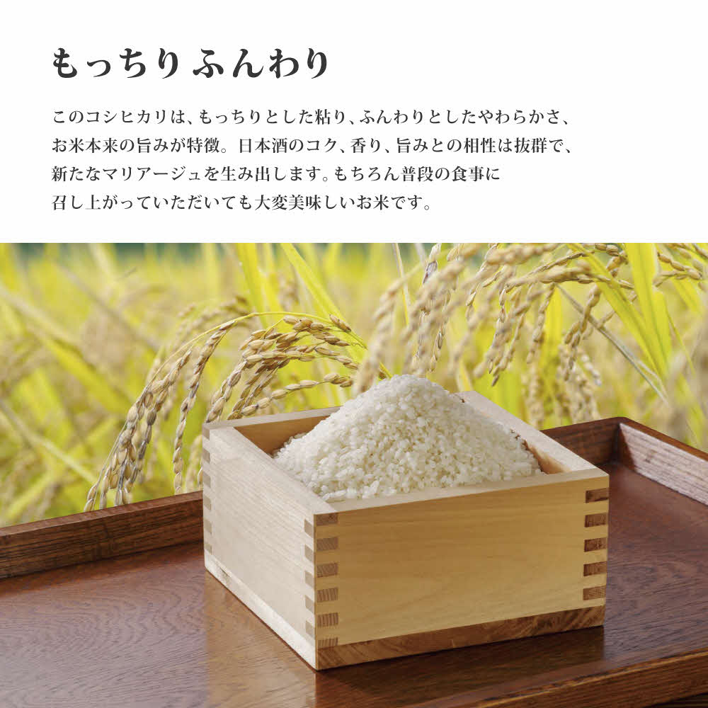 お米 令和7年産 日本酒に合う コシヒカリ 白米 10kg (5kg×2)[ 米 こめ コメ 精米 ] 