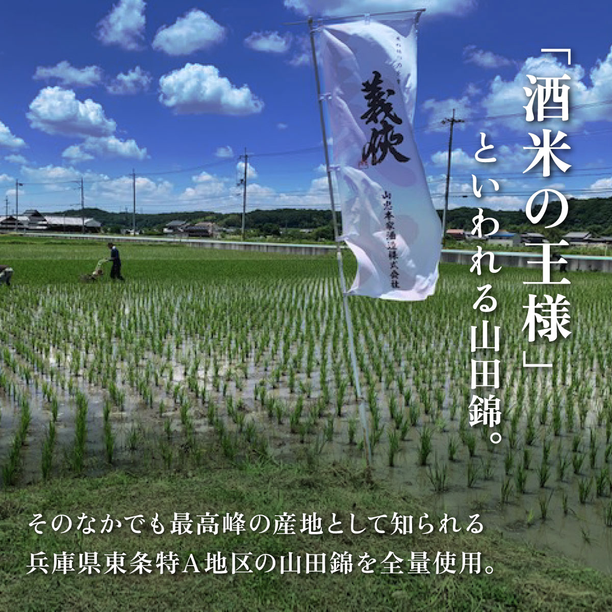 義侠 純米吟醸 飲み比べ セット（ライトタイプ）各720ml 山忠本家酒造 加東市特A地区 東条産山田錦使用[ フロンティア東条 侶 (ともがら) 燎 (かがりび) 日本酒 酒 お酒 四合瓶 贈答品 ] 日本酒飲み比べ 日本酒セット 