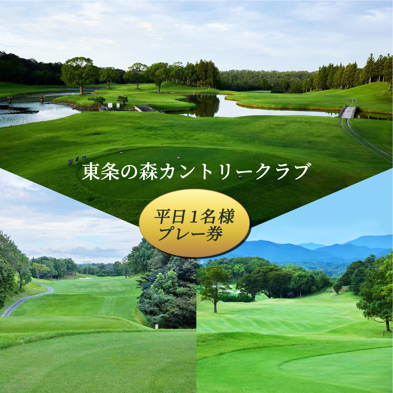 東条の森カントリークラブ 平日 1名様 プレー券 東条の森CC [ ゴルフ 加東市 兵庫県 関西 ゴルフ場 ] ゴルフ場利用権 