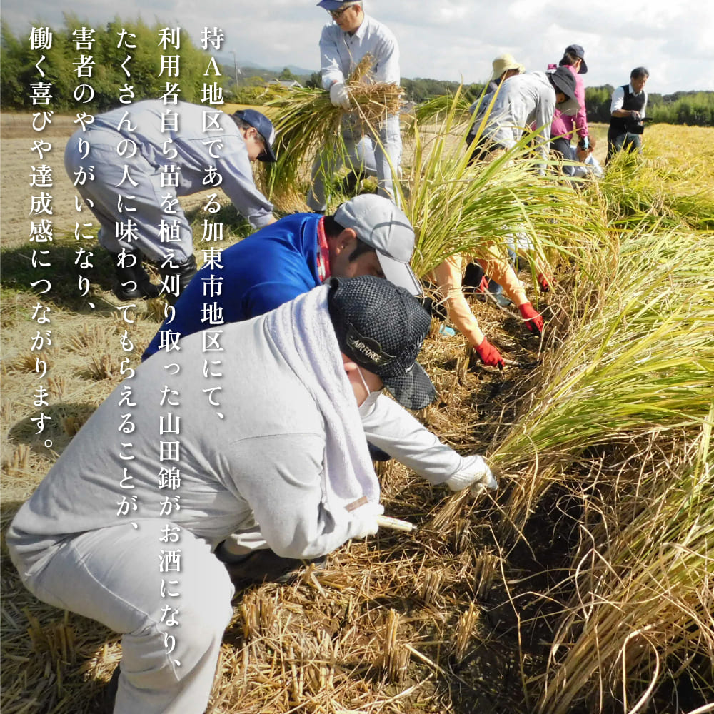 獺祭 加東 磨き三割九分 ・ 剣菱 なんでんの 飲み比べ 720ml 2本セット [ 加東市特A地区産山田錦 獺祭 剣菱酒造 日本酒 酒 お酒 純米大吟醸 純米酒 四合瓶 贈答品 ギフト 兵庫県 兵庫 加東市 ]