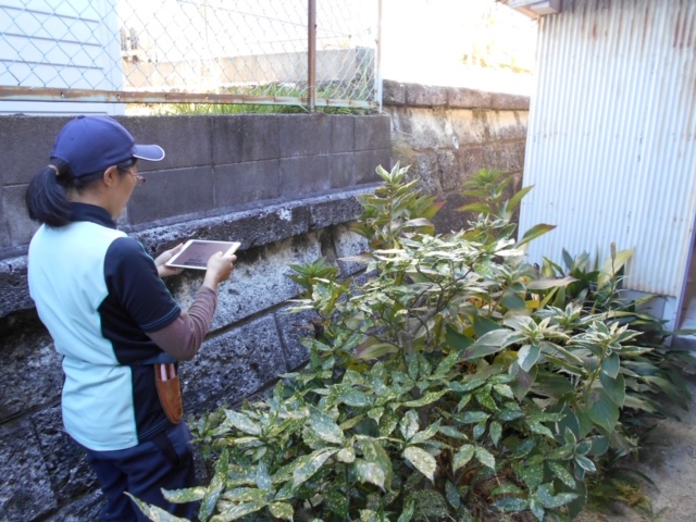 縺頑焔霆ス縲悟サコ迚ゥ螟夜Κシ九♀蠎ュ縲3繝カ譛医さ繝シ繧ケ 繝√こ繝繝 繧オ繝シ繝薙せ 遨コ縺榊ョカ 逡吝ョ亥ョ 謖√■螳カ 邂。逅 蜉」蛹 雉逕」萓。蛟、 螳壽悄逧 蟾。蝗 繝昴せ繝 蠎ュ譛ィ 霑鷹團