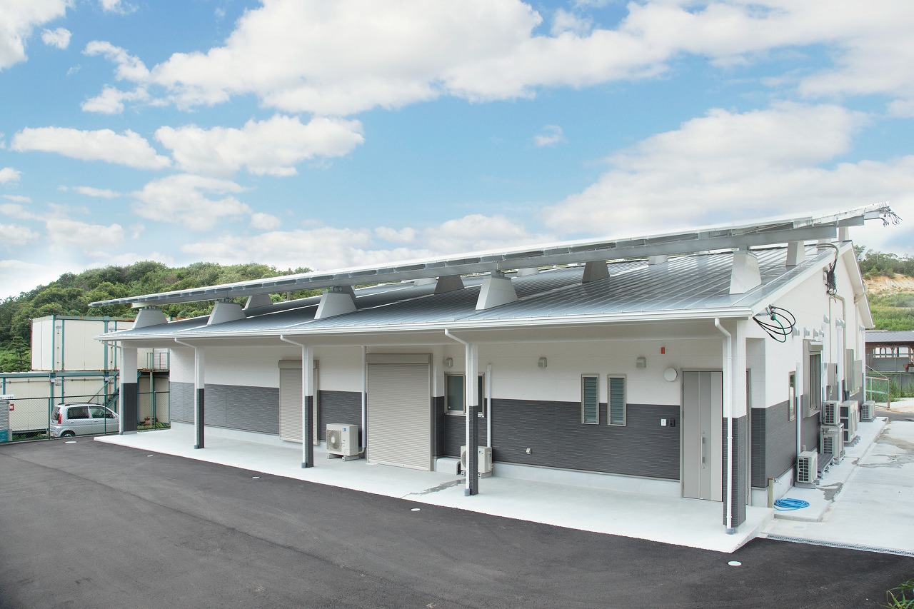 植物工場産　洗わずに食べられるフリルレタス　12袋セット [野菜 水耕栽培 栽培期間中農薬不使用] 