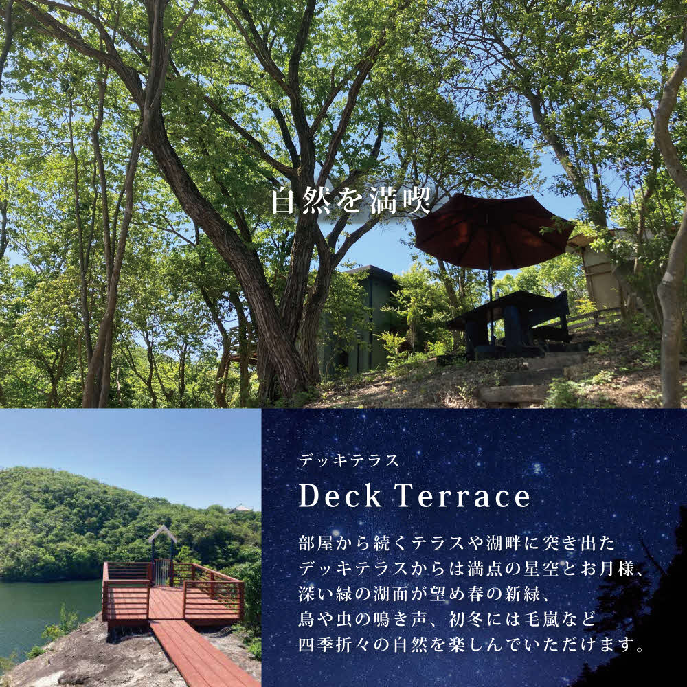 譚ア譚。貉悶ユ繝ゥ繧ケ 繝斐ヮ繝ッ繝ェ繧ケ 螳ソ豕翫け繝シ繝昴Φ蛻ク 5荳蜀蛻 諢帷堪縺ィ驕弱#縺帙k荳霆貞ョカ縲螳ソ豕 譌陦 繧ッ繝シ繝昴Φ 繝峨ャ繧ー繝ゥ繝ウ 諢帷堪 迥ャ 譚ア譚。貉 蜉譚ア蟶