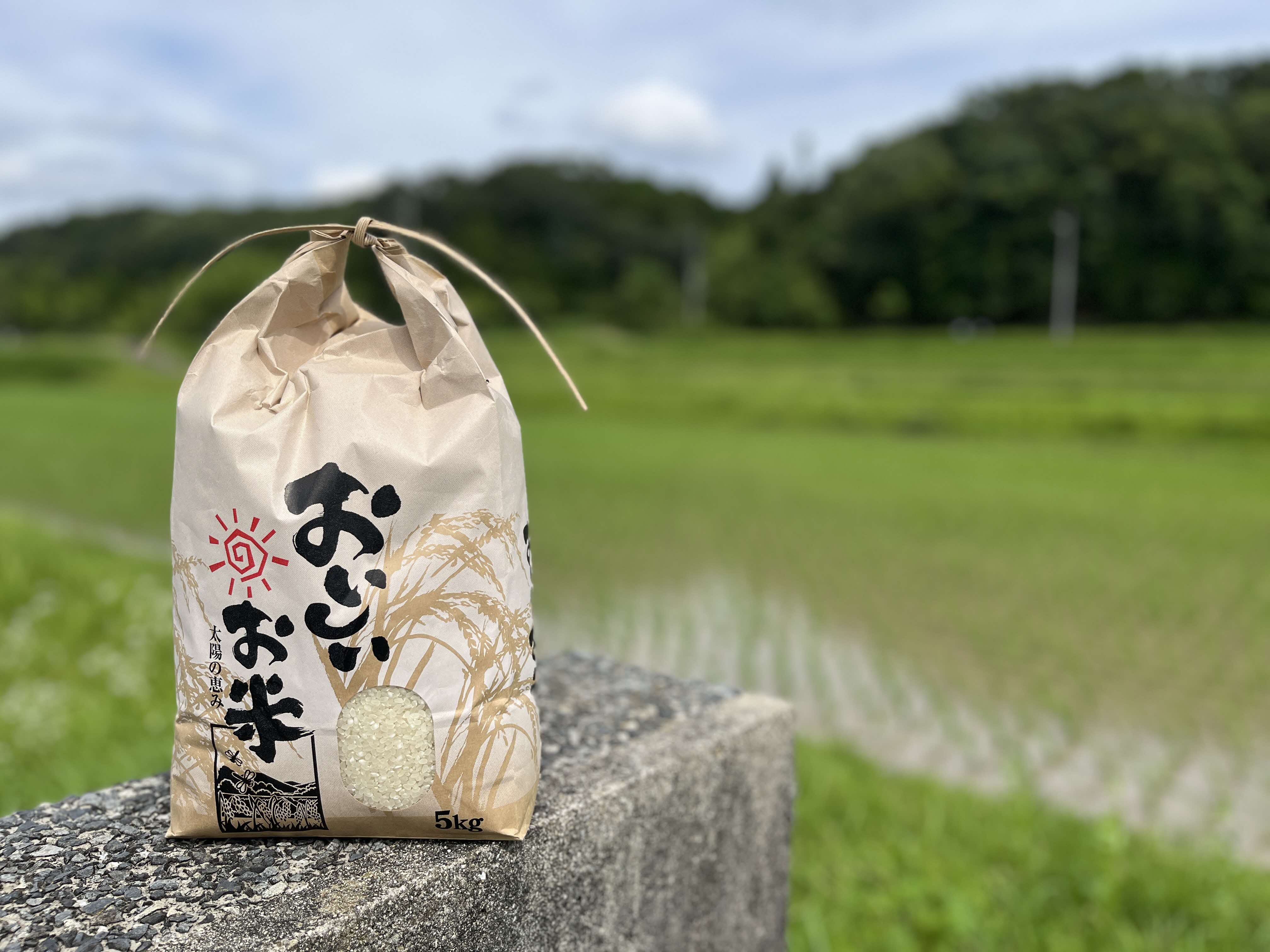 米 令和7年産 キヌヒカリ 白米 10kg（5kg×2） 加東市東条地区産 [ お米 こめ コメ きぬひかり 兵庫県産 ごはん 精米 ]