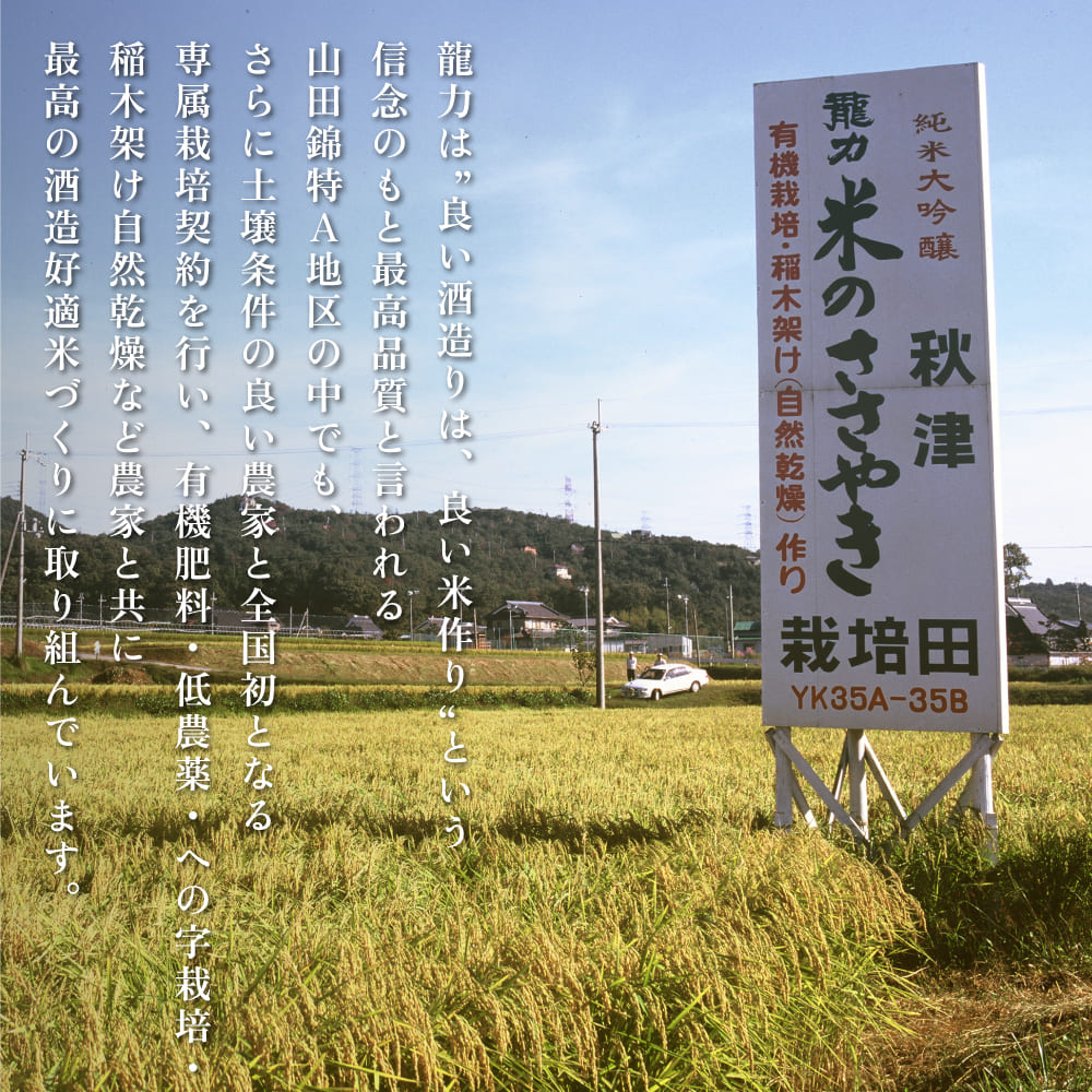 龍力 純米大吟醸 秋津 ・ 純米酒 テロワール東条 飲み比べ 720ml 2本セット [ 本田商店 加東市特A地区 東条産山田錦 日本酒 酒 お酒 四合瓶 贈答品 辛口 ギフト 兵庫県 兵庫 加東市 ]