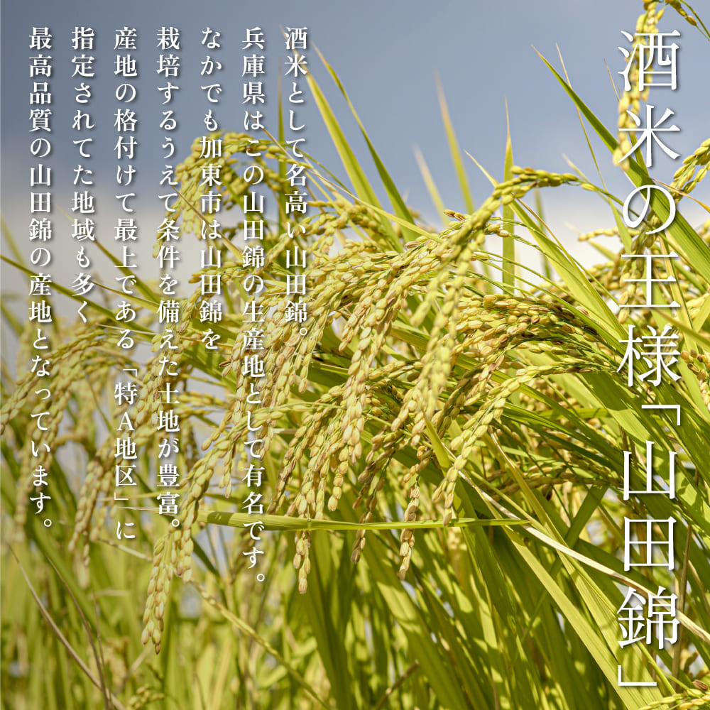 玉川 自然仕込 純米大吟醸 玉龍 (山廃)720ml 木下酒造 加東市特A地区産 山田錦使用 化粧箱入[ 日本酒 酒 お酒 四合瓶 贈答品  ] アルコール 家飲み 宅飲み 晩酌 