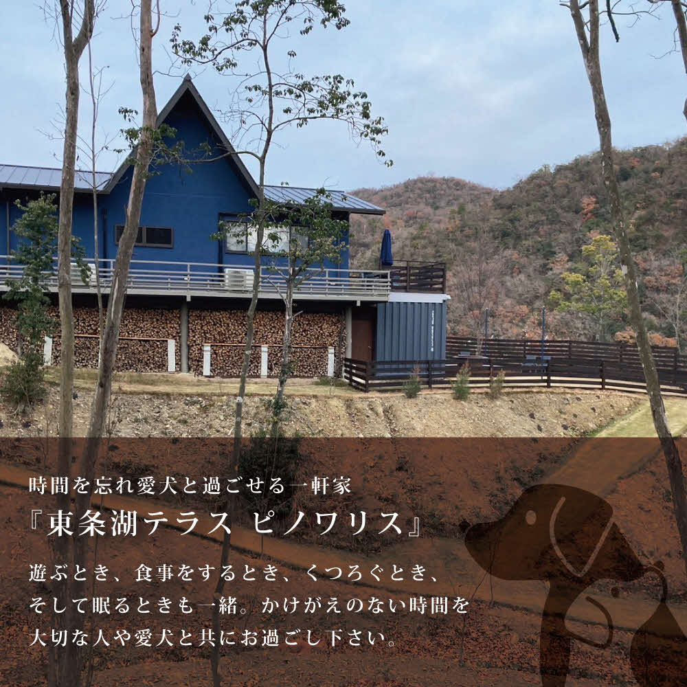 譚ア譚。貉悶ユ繝ゥ繧ケ 繝斐ヮ繝ッ繝ェ繧ケ 螳ソ豕翫け繝シ繝昴Φ蛻ク 3荳蜀蛻 諢帷堪縺ィ驕弱#縺帙k荳霆貞ョカ縲螳ソ豕 譌陦 繧ッ繝シ繝昴Φ 繝峨ャ繧ー繝ゥ繝ウ 諢帷堪 迥ャ 譚ア譚。貉 蜉譚ア蟶