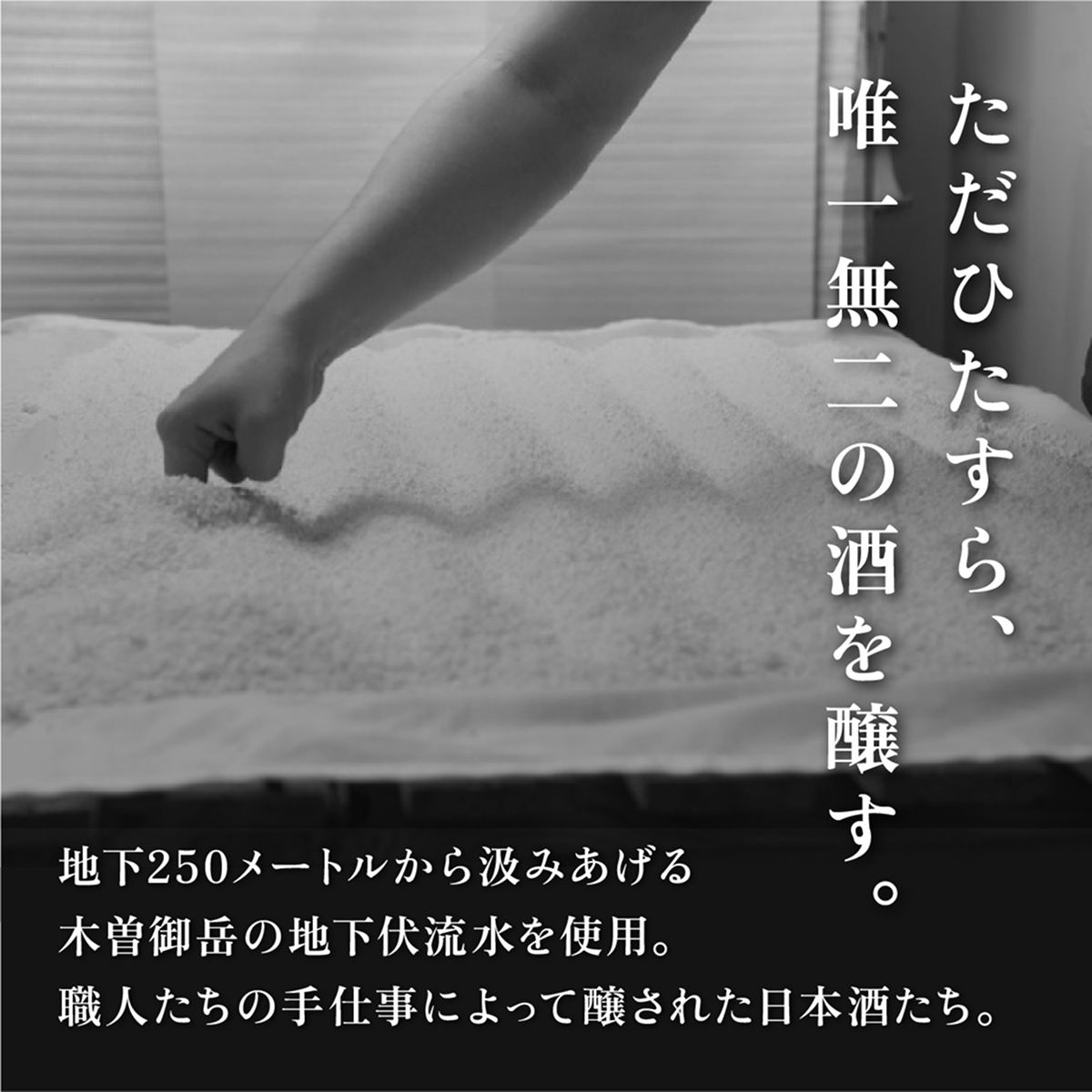 義侠 純米吟醸 飲み比べ セット（ライトタイプ）各720ml 山忠本家酒造 加東市特A地区 東条産山田錦使用[ フロンティア東条 侶 (ともがら) 燎 (かがりび) 日本酒 酒 お酒 四合瓶 贈答品 ] 日本酒飲み比べ 日本酒セット 