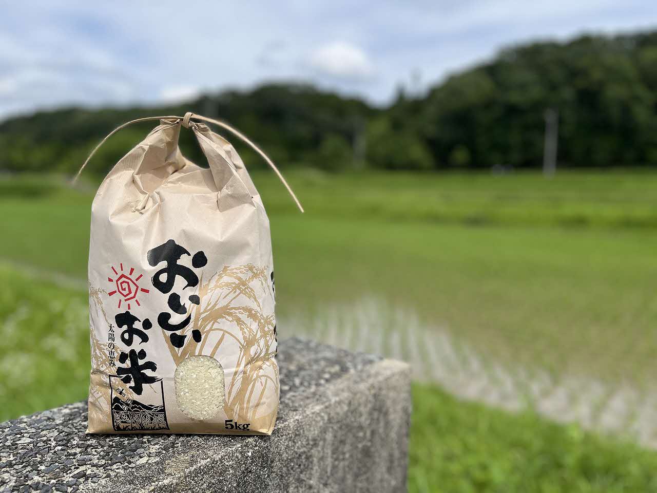 米 令和7年産 ヒノヒカリ 白米 10kg（5kg×2）加東市東条地区産[ 新米 お米 こめ コメ ]