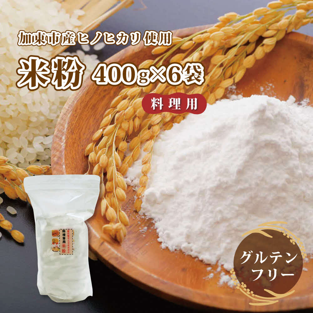 栽培期間中化学農薬・化学肥料不使用の米からつくった米粉 400g×6袋（料理用）[グルテンフリー 米粉100％ 揚げ物 とろみづけ ヘルシー]