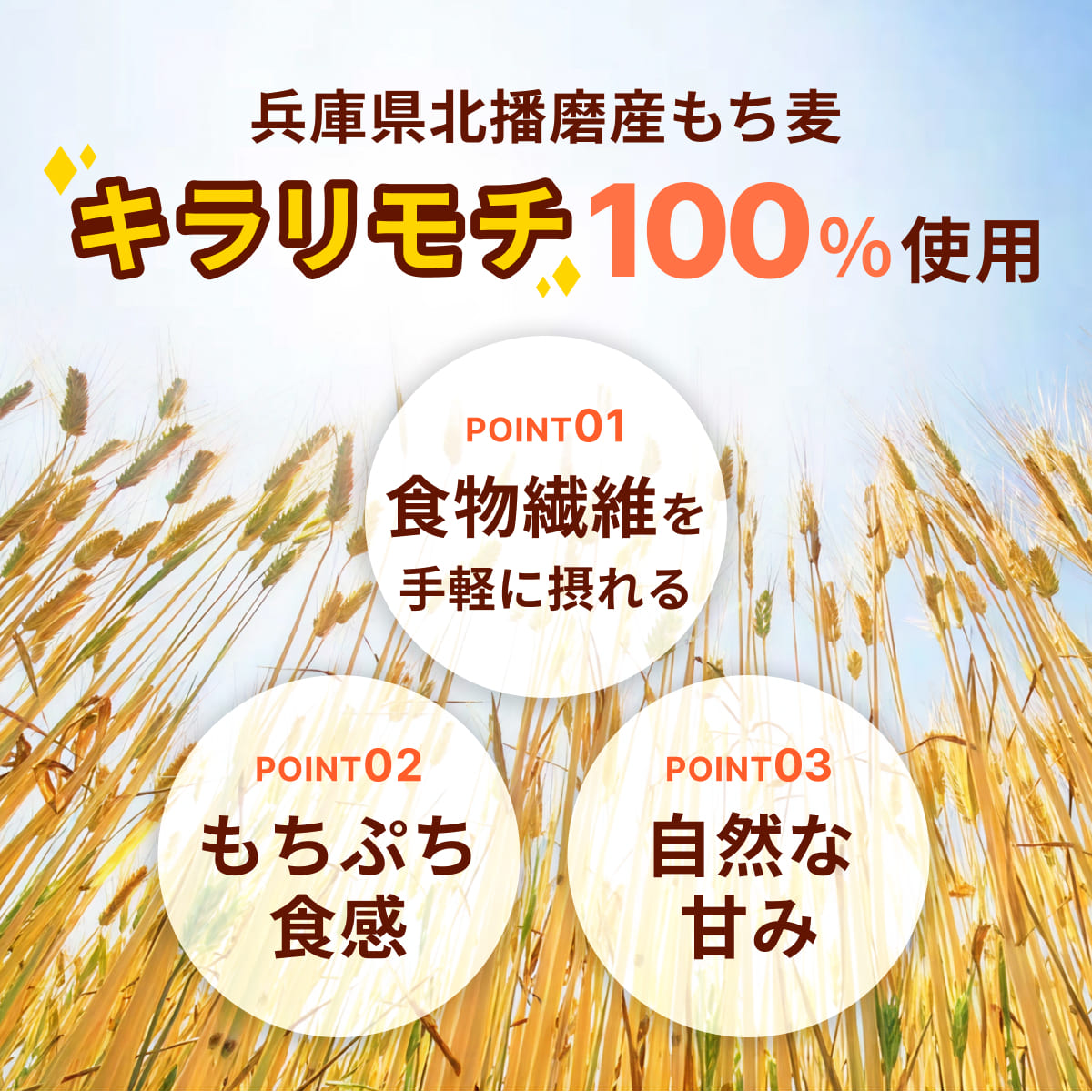 兵庫育ちの もち麦 10kg [国産 キラリモチ 食物繊維 ] 雑穀 モチ麦 