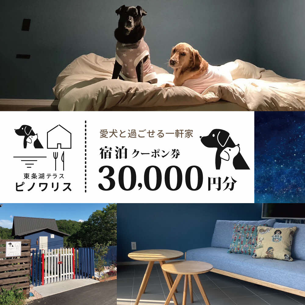 東条湖テラス ピノワリス 宿泊クーポン券 3万円分 愛犬と過ごせる一軒家　宿泊 旅行 クーポン ドッグラン 愛犬 犬 東条湖 加東市
