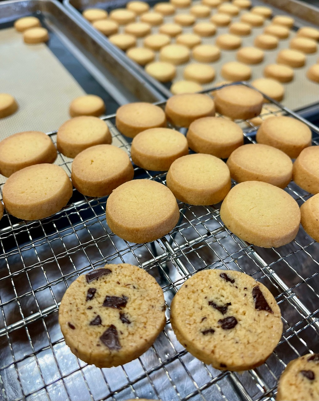 クッキー缶 6種類の クッキー 詰め合わせ [ スイーツ 洋菓子 焼菓子 食べ比べ ギフト プレゼント お取り寄せ 贈り物 ]