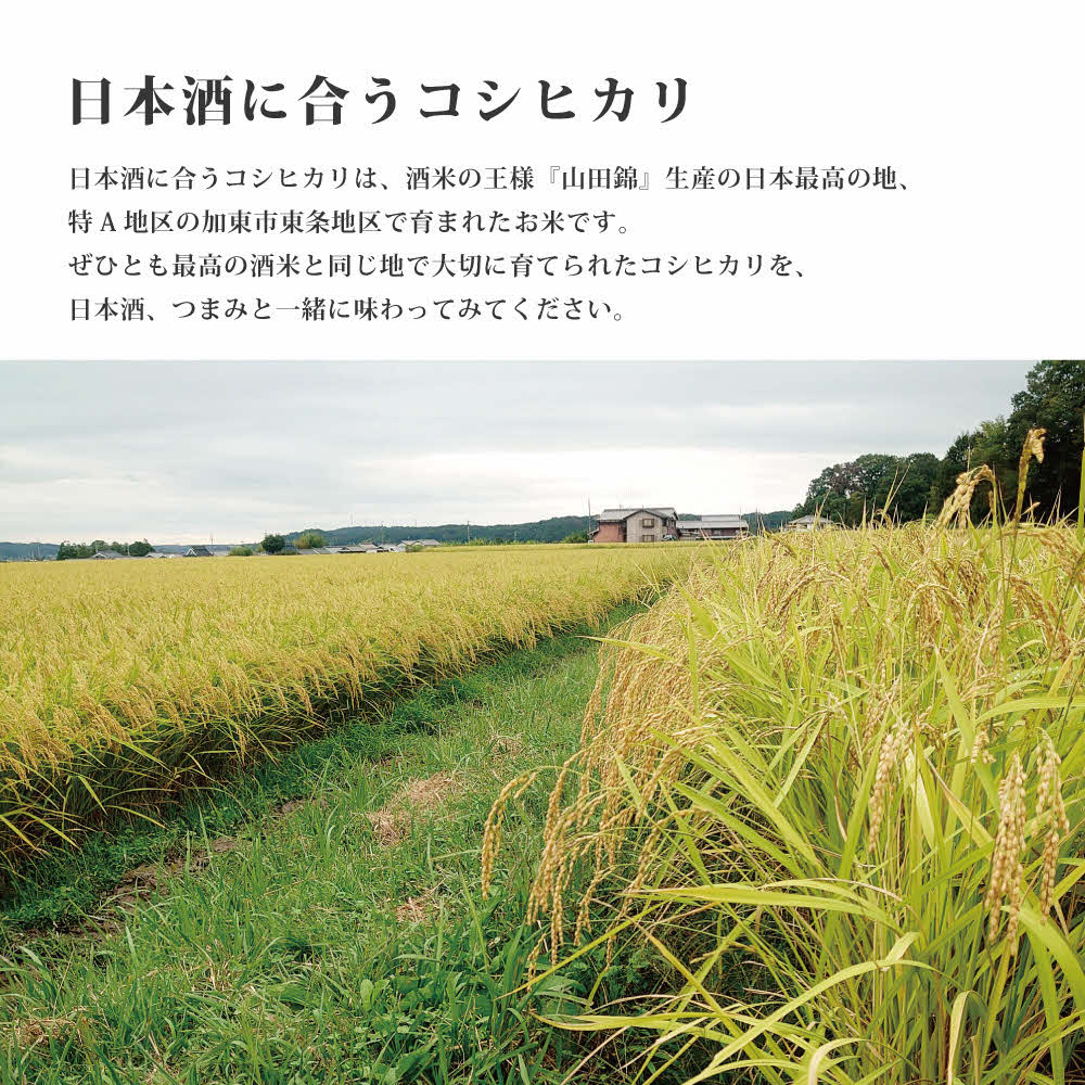 お米 令和7年産 日本酒に合う コシヒカリ 白米 5kg [ 米 こめ コメ 精米 ] 