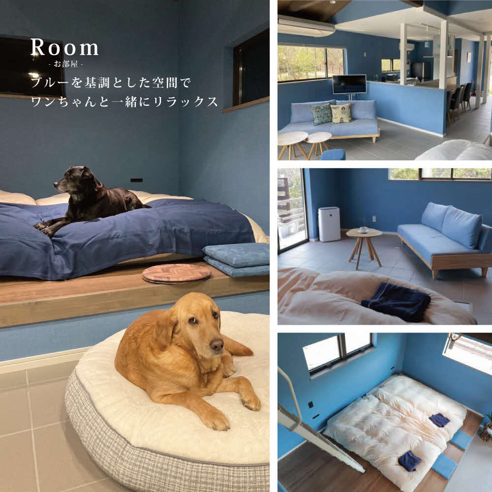 東条湖テラス ピノワリス 宿泊クーポン券 1万円分 愛犬と過ごせる一軒家　宿泊 旅行 クーポン ドッグラン 愛犬 犬 東条湖 加東市