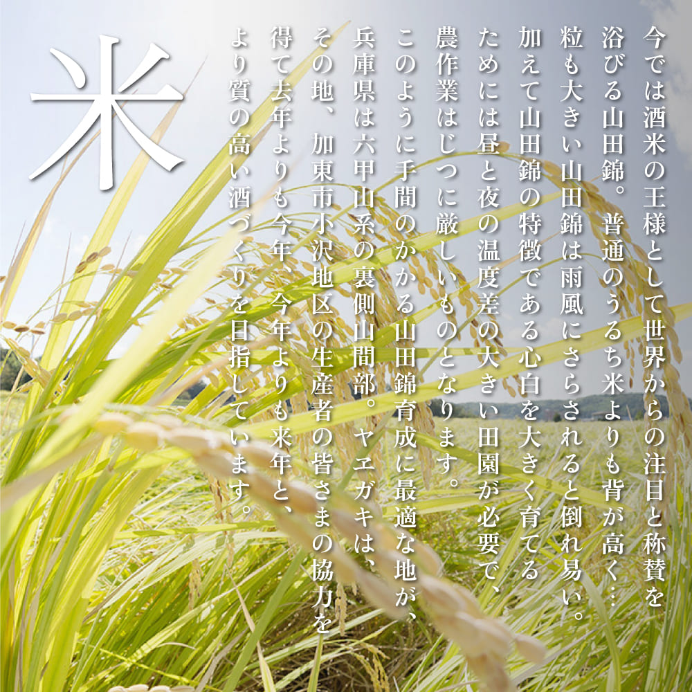 [ 八重垣 ] 八重墻 純米大吟醸 720ml ヤヱガキ酒造 加東市特A地区 東条産山田錦使用 化粧箱入[ ヤエガキ 小沢地区産 日本酒 酒 お酒 四合瓶 贈答品 フルーティー ] 純米大吟醸酒 