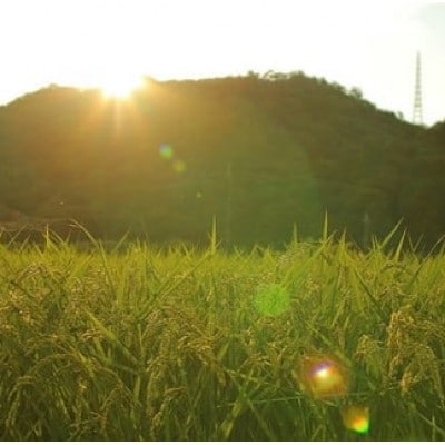 【毎月定期便】猪名川町のお米・キヌヒカリ(精米)約18kg×全3回【4085210】