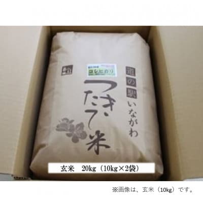 【令和6年産】新米・猪名川町のお米コシヒカリ(玄米)20kg【1514226】