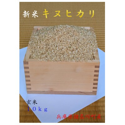 キヌヒカリ　令和8年産新米(玄米)【1719436】