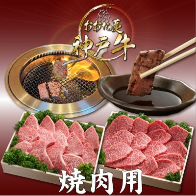 【発送月固定定期便】A5 おおた蔓 神戸牛(神戸ビーフ)　それは選ばれし希少な一頭全6回【配送不可地域：離島】【4067235】